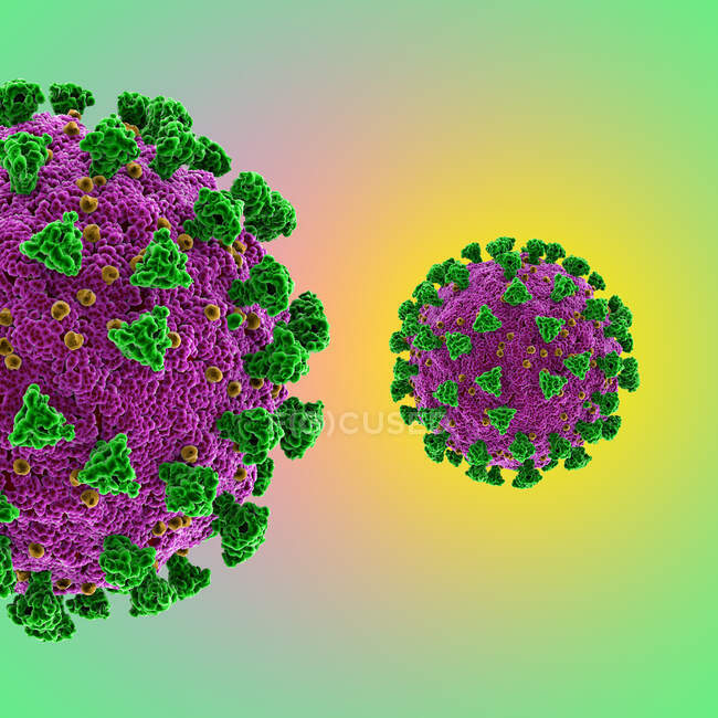 Covid-19 coronavirus particles, computer illustration. El nuevo coronavirus SARS-CoV-2 (anteriormente 2019-CoV) surgió en Wuhan, China, en diciembre de 2019 - foto de stock