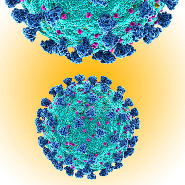 Covid-19 Coronavirus-Partikel, Computerillustration. Das neue Coronavirus SARS-CoV-2 (zuvor 2019-CoV) tauchte im Dezember 2019 in Wuhan, China, auf. — Stockfoto