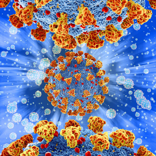 Частицы коронавируса Ковид-19, компьютерная иллюстрация. Новый коронавирус SARS-CoV-2 (ранее 2019-CoV) появился в Ухане, Китай, в декабре 2019 года. — стоковое фото