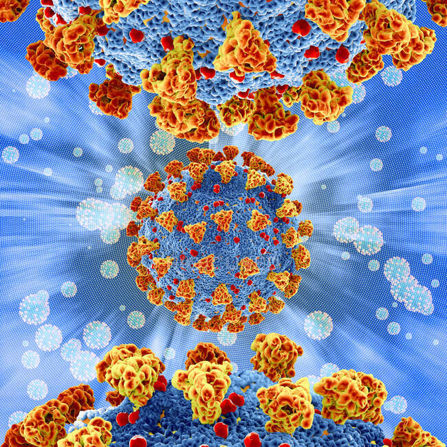 Covid-19 коронавірусні частинки, комп'ютерна ілюстрація. Новий коронавірус SARS-CoV-2 (раніше 2019-CoV) з'явився в Ухані, Китай, в грудні 2019 року. — стокове фото