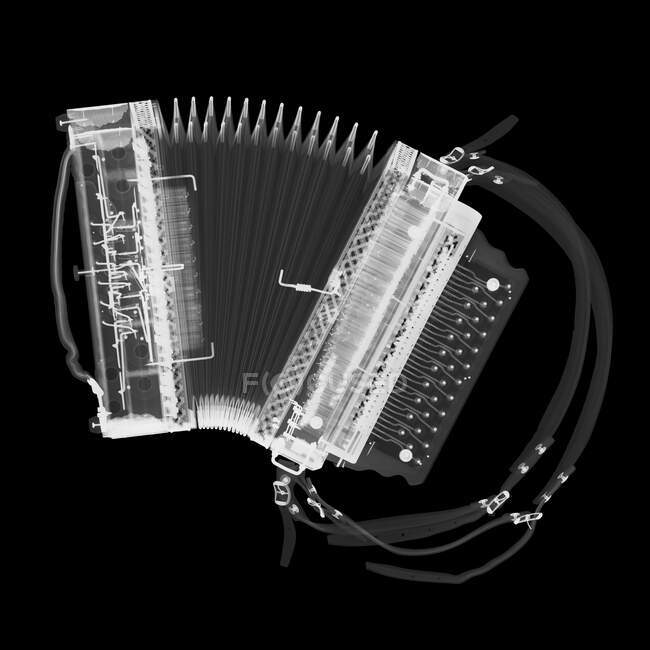 Piano accordion, X-ray, radiology scan — Stock Photo