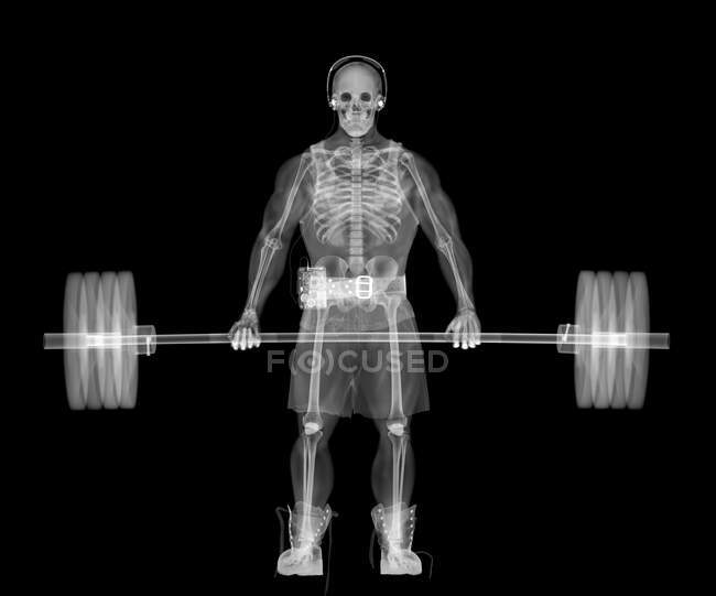 Levantador de pesas esqueleto, rayos X, exploración radiológica - foto de stock