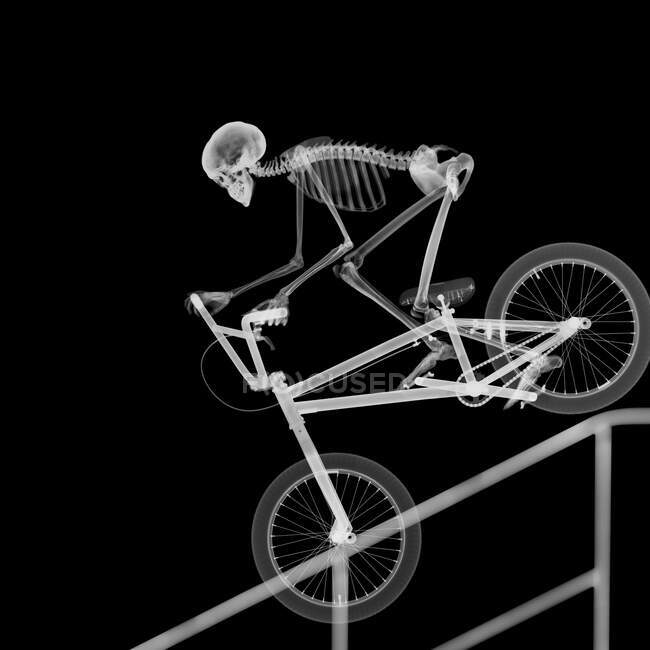Skeleton bike stunt, X-ray. — Stock Photo