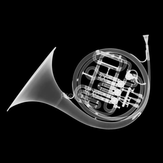 Brass French horn, X-Ray. — стокове фото
