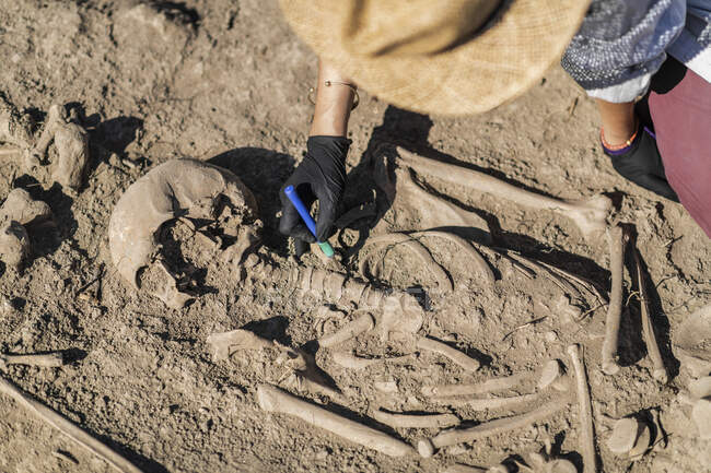 Arqueólogo excavando restos humanos antiguos en un sitio arqueológico. - foto de stock