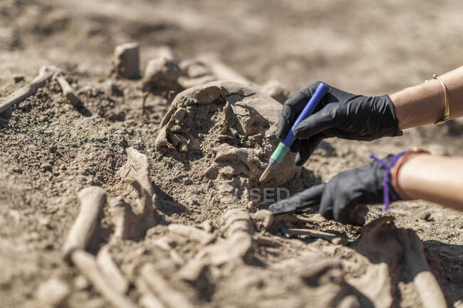 Археолог, занимающийся раскопками древних человеческих останков на археологических раскопках. — стоковое фото