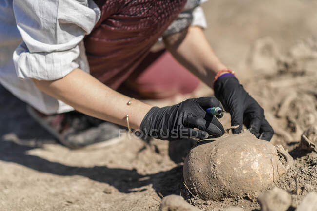 Archaeological excavations. Young archaeologist excavating part of human skeleton and skull from the ground. — Stock Photo