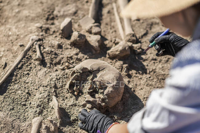 Археологические раскопки. Археолог, проводящий исследования древних человеческих костей. — стоковое фото