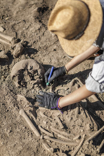 Археологические раскопки. Археолог, проводящий исследования древних человеческих костей. — стоковое фото