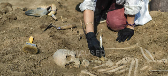 Escavações arqueológicas. Esqueleto humano permanece encontrado em um túmulo antigo. — Fotografia de Stock