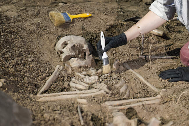 Archaeological excavations. Human skeleton remains found in an ancient tomb. — Stock Photo