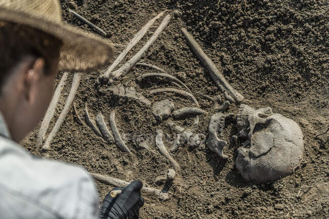Археология. Раскопки человеческих останков из древнего захоронения. — стоковое фото