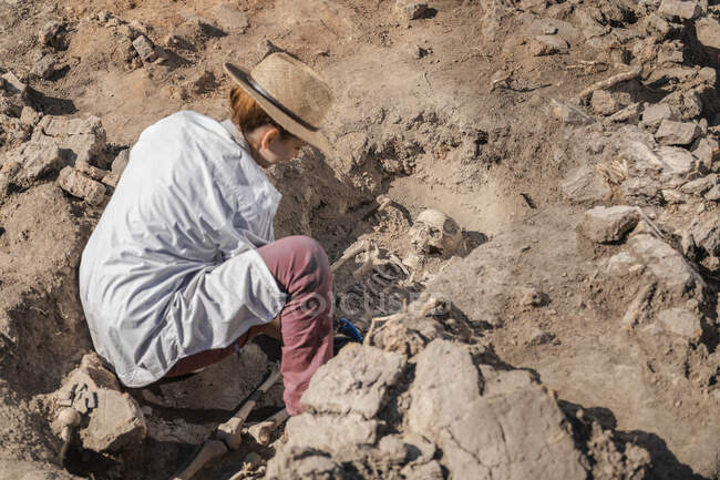 Fouilles archéologiques. Restes de squelette humain trouvés dans une tombe ancienne. — Photo de stock