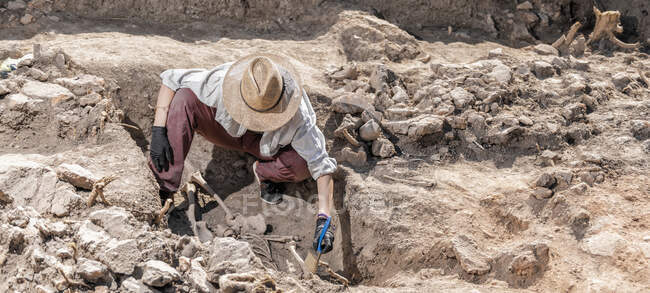 Scavi archeologici. resti di scheletro umano trovati in un'antica tomba. — Foto stock