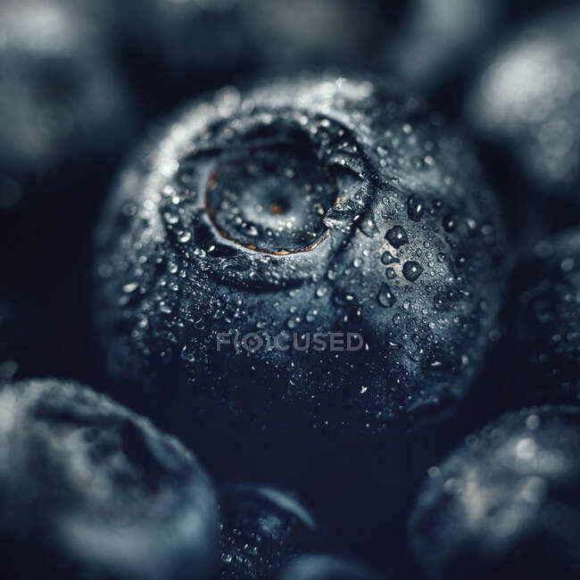 Closeup of Fresh blueberries — Stock Photo