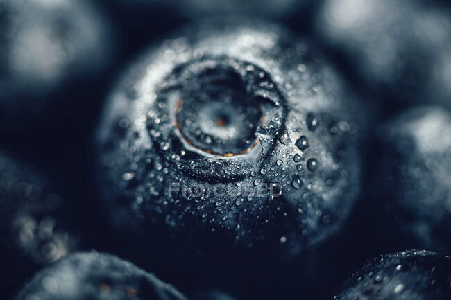 Closeup of Fresh blueberries — Stock Photo