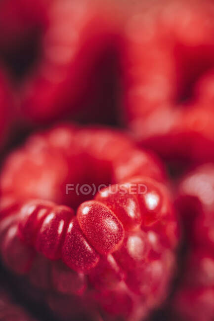 Close-up de framboesas frescas — Fotografia de Stock