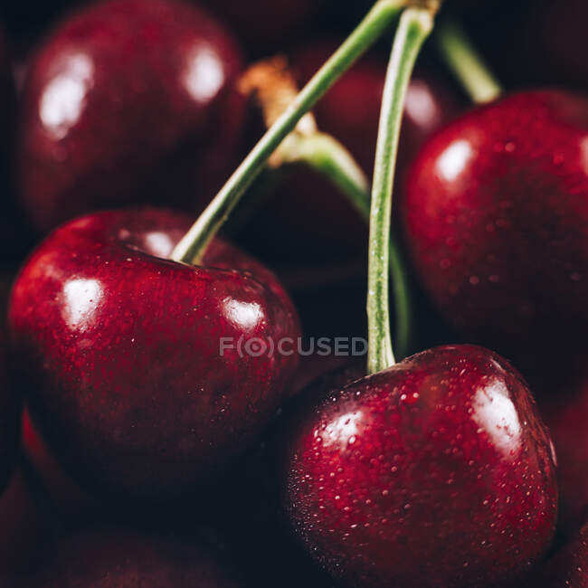 Close-up de cerejas maduras saborosas — Fotografia de Stock