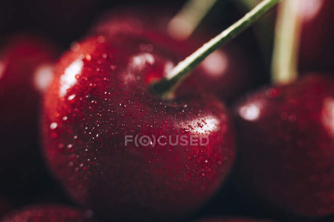Closeup of tasty ripe cherries — Stock Photo
