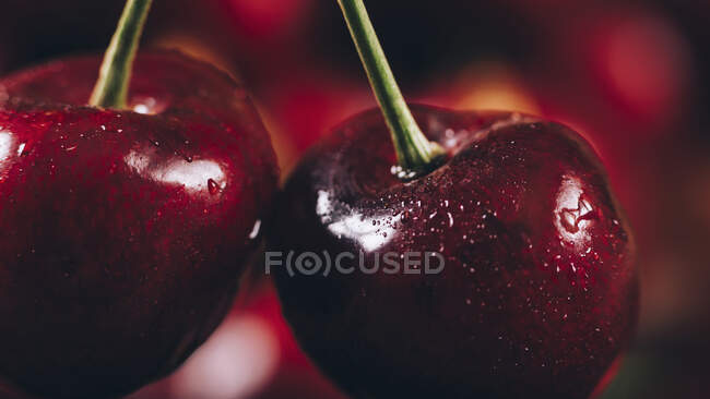 Primo piano di gustose ciliegie mature — Foto stock