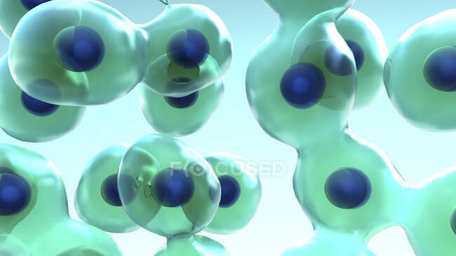 Células divisorias, ilustración por ordenador - foto de stock
