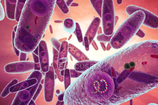 Ilustração 3d de bactérias Pasteurella multocida. Este é um cocobacilo Gram-negativo, não móvel, sensível à penicilina pertencente à família Pasteurellaceae — Fotografia de Stock