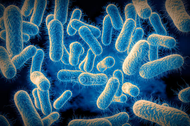 3d иллюстрация Salmonella sp. бактерии с внутренней структурой — стоковое фото
