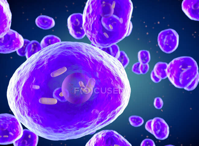 3d illustration of Pneumocystis jirovecii (formerly known as Pneumocystis carinii) opportunistic yeast-like fungus which causes pneumonia in patients with HIV. — Stock Photo