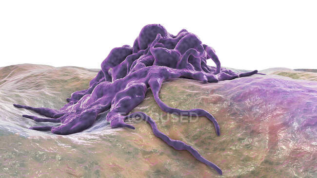 Cancer cell, computer illustration. — Stock Photo