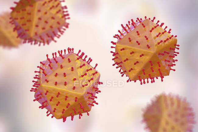 Vírus da peste suína africana, ilustração. Este vírus é membro do grupo do iridovírus que causa a peste suína africana, febre hemorrágica em suínos com elevada taxa de mortalidade — Fotografia de Stock