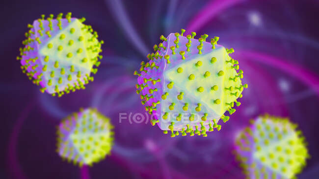 Virus della peste suina africana, illustrazione. Questo virus appartiene al gruppo degli iridovirus che causa la peste suina africana, la febbre emorragica nei suini con un alto tasso di mortalità — Foto stock
