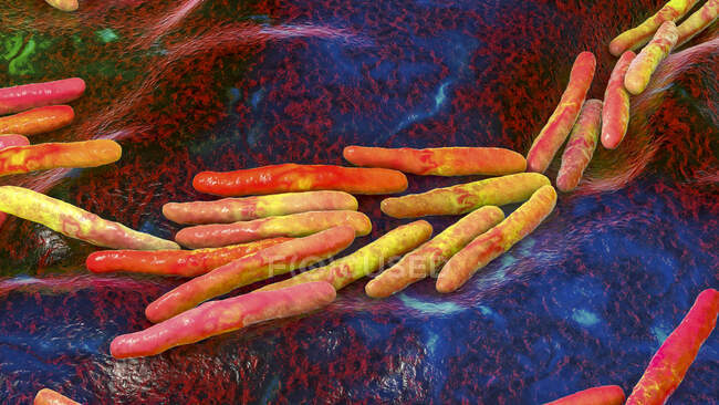 Bacterias de la tuberculosis. Ilustración por ordenador de la bacteria Mycobacterium tuberculosis, la bacteria Gram-positiva en forma de barra que causa la enfermedad tuberculosis. - foto de stock