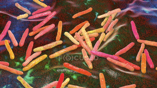 Bacterias de la tuberculosis. Ilustración por ordenador de la bacteria Mycobacterium tuberculosis, la bacteria Gram-positiva en forma de barra que causa la enfermedad tuberculosis. - foto de stock