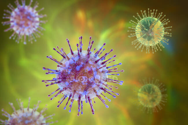 Group of viruses, computer illustration — Stock Photo
