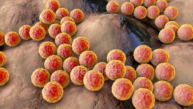 Computerillustration von Staphylokokken-Bakterien (Staphylococcus aureus)) — Stockfoto