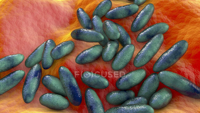 Bactéries responsables de la peste (Yersinia pestis), illustration informatique. — Photo de stock