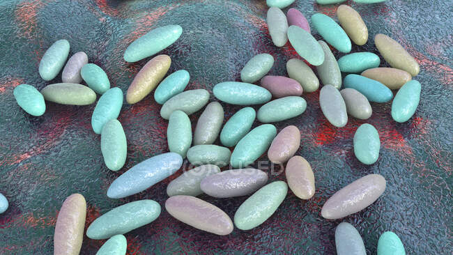Чума бактерії (Єрсінія шкідник), комп'ютерна ілюстрація . — стокове фото