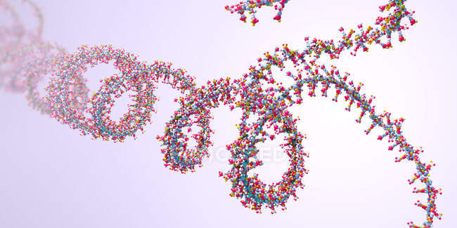 Цепочка рибонуклеиновых кислот (РНК), 3d иллюстрация. — стоковое фото