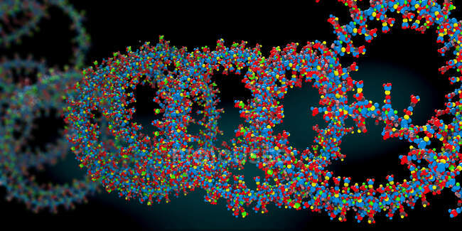 Cadena de ácido ribonucleico (ARN), ilustración 3d. - foto de stock