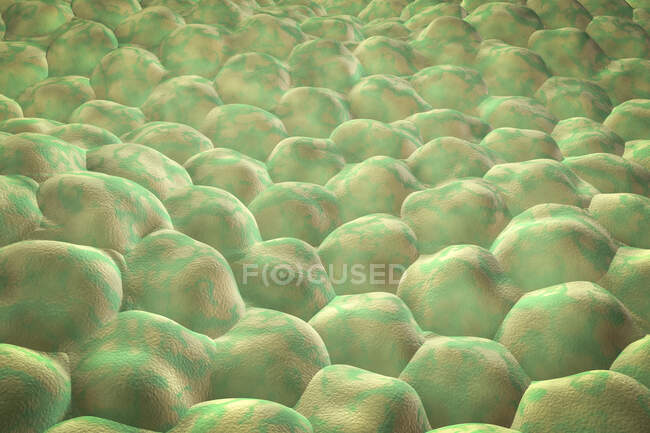 Couche de cellules, illustration de l'ordinateur — Photo de stock