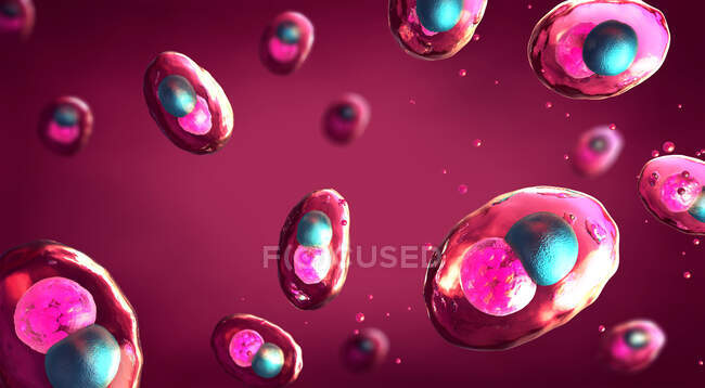 Célula infectada con bacterias patógenas de la clamidia, ilustración 3d. - foto de stock