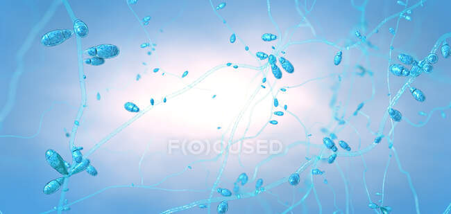 Crecimiento de hongos dermatofitos, ilustración 3d. - foto de stock