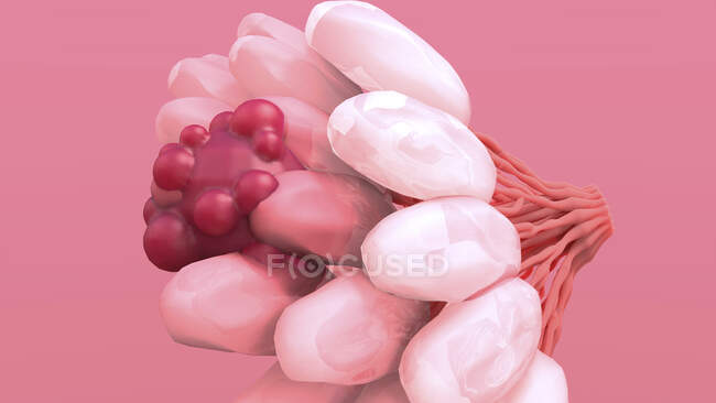 Cancro da mama. Ilustração do tumor maligno (canceroso) (vermelho) na mama feminina — Fotografia de Stock