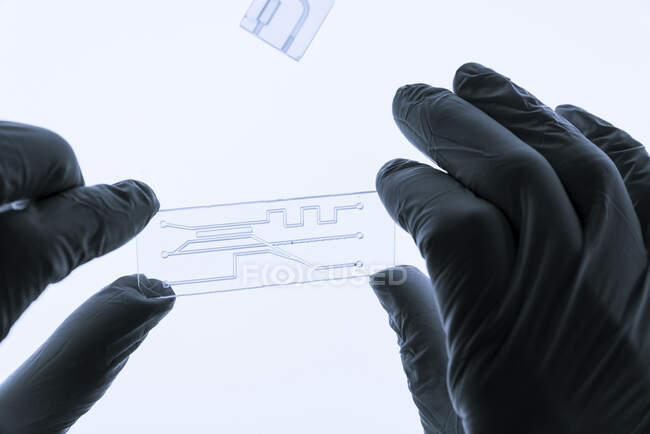 Organ-on-a-chip. This is a microfluidic device that simulates biological organs. — Stock Photo