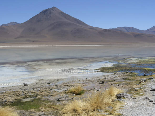 Laguna Verde y Volcán Licancabur. El color turquesa del agua se debe a compuestos de arsénico y otros minerales procedentes del extinto volcán Licancabur en el fondo. - foto de stock
