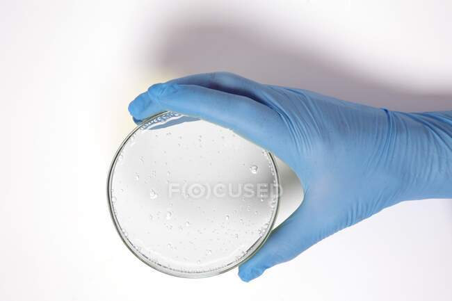 Mano sosteniendo una placa Petri. - foto de stock