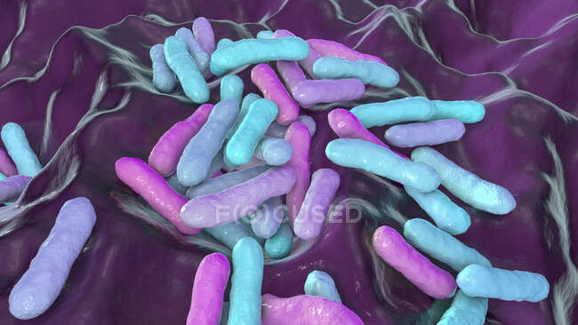 Cutibacterium (formerly Propionibacterium) bacteria, computer illustration. These are an example of non-pathogenic bacteria found on human skin, where they are well adapted to the natural acidity. An example is Cutibacterium acnes — Stock Photo