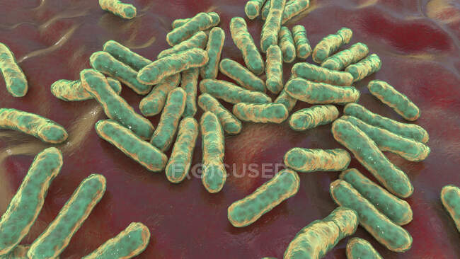 Cutibacterium (раніше Propionibacterium) - бактерія, комп'ютерна ілюстрація. Це приклад непатогенних бактерій, виявлених на шкірі людини, де вони добре пристосовані до природної кислотності. Прикладом є Cutibacterium acnes. — стокове фото