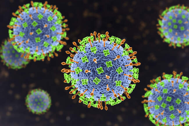 Nipah virus particles, computer illustration. Nipah virus is zoonotic (transmitted to humans from animals) and was first found in Malaysia and Singapore in people who had close contact with pigs — Stock Photo
