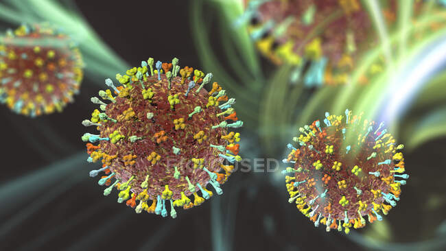 Hendra-Virus, Computerillustration. Das Hendra-Virus infiziert sowohl Menschen als auch Pferde und wird von Flughunden übertragen. Es ist selten und kommt hauptsächlich in Australien vor — Stockfoto